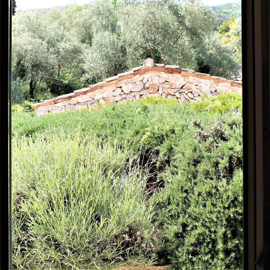 Apartmani Klaudija Valun Dış mekan fotoğraf
